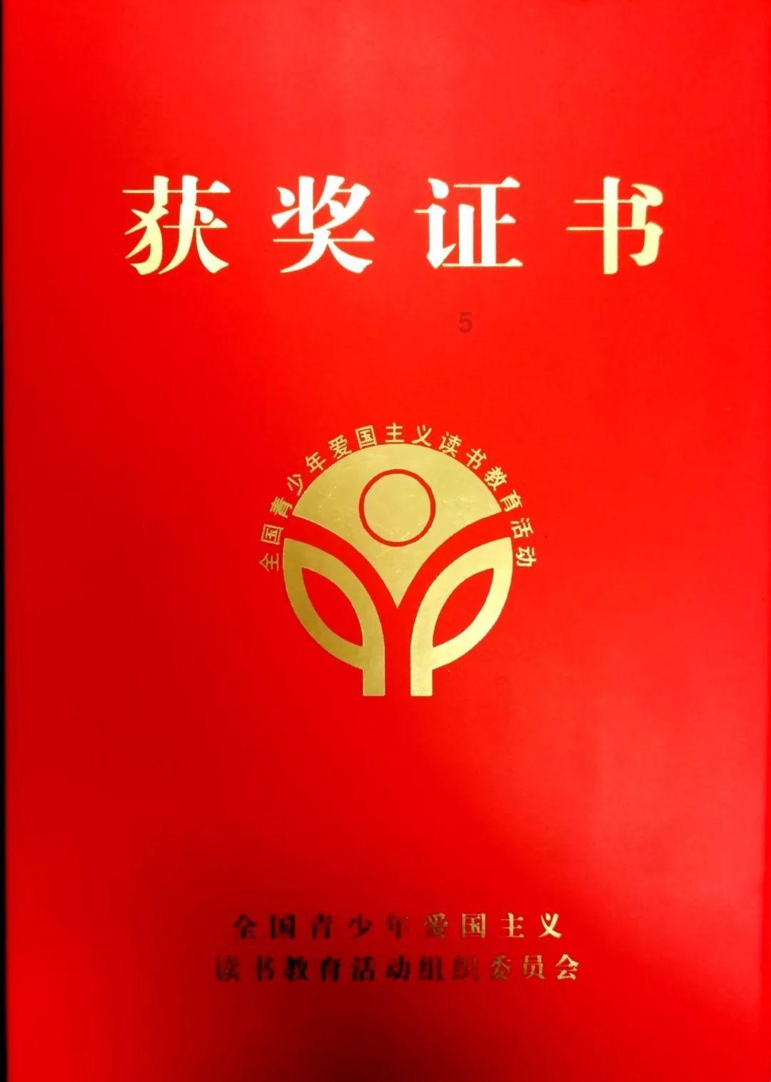 可怜猫的救援